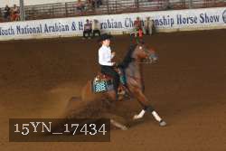 15YN_17434 thumbnail