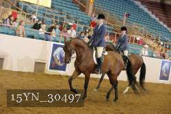 15YN_30497 thumbnail