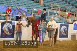15YN_28073 thumbnail