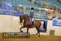15YN_28100 thumbnail