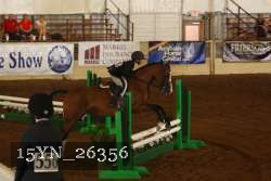 15YN_26356 thumbnail