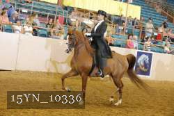 15YN_10336 thumbnail