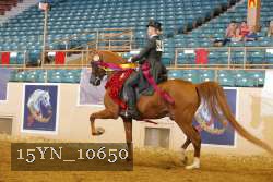 15YN_10650 thumbnail