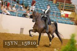 15YN_15810 thumbnail