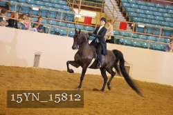 15YN_15812 thumbnail