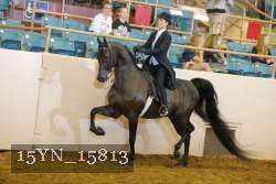 15YN_15813 thumbnail