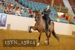 15YN_15814 thumbnail