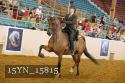 15YN_15815 thumbnail