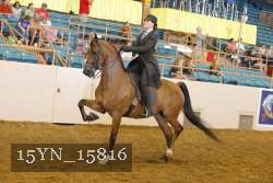 15YN_15816 thumbnail