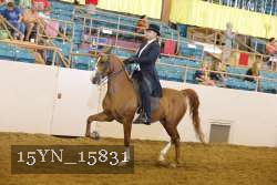 15YN_15831 thumbnail