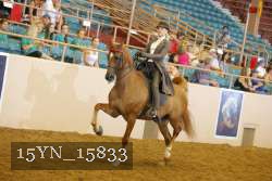 15YN_15833 thumbnail