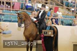 15YN_28971 thumbnail