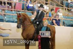 15YN_28976 thumbnail