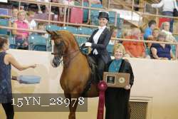 15YN_28978 thumbnail