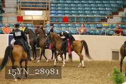 15YN_28981 thumbnail