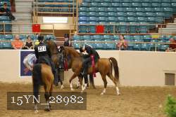 15YN_28982 thumbnail