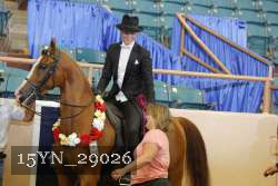 15YN_29026 thumbnail