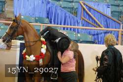 15YN_29027 thumbnail