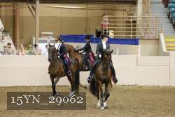 15YN_29062 thumbnail