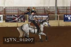 15YN_01207 thumbnail