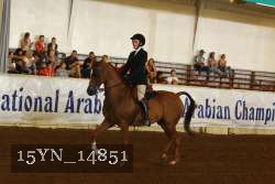 15YN_14851 thumbnail