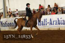 15YN_14853 thumbnail