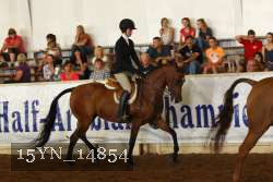 15YN_14854 thumbnail