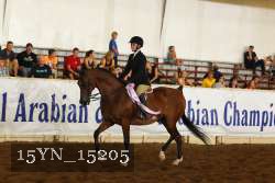 15YN_15205 thumbnail