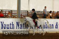 15YN_22700 thumbnail