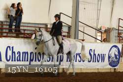 15YN_16105 thumbnail