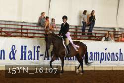 15YN_16107 thumbnail