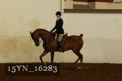 15YN_16283 thumbnail