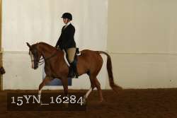 15YN_16284 thumbnail