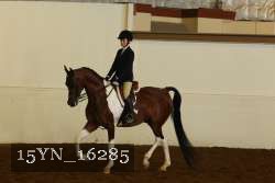 15YN_16285 thumbnail