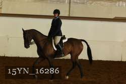 15YN_16286 thumbnail