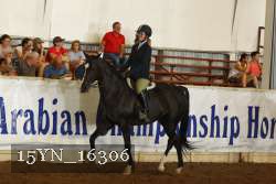 15YN_16306 thumbnail