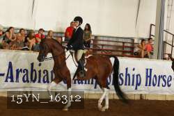 15YN_16312 thumbnail