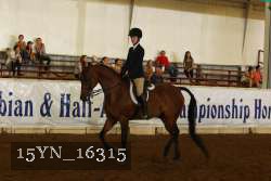 15YN_16315 thumbnail