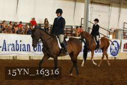 15YN_16316 thumbnail