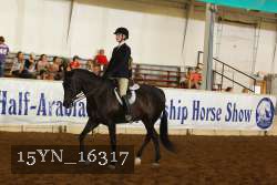 15YN_16317 thumbnail