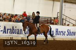 15YN_16319 thumbnail