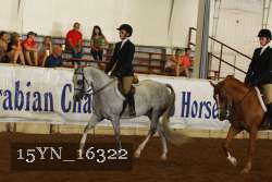 15YN_16322 thumbnail