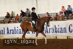15YN_16324 thumbnail
