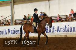 15YN_16327 thumbnail