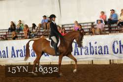 15YN_16332 thumbnail