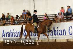 15YN_16333 thumbnail