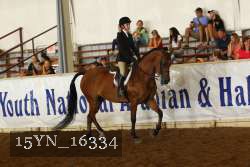 15YN_16334 thumbnail