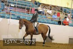 15YN_24373 thumbnail