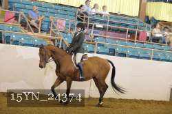 15YN_24374 thumbnail
