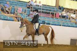 15YN_24375 thumbnail